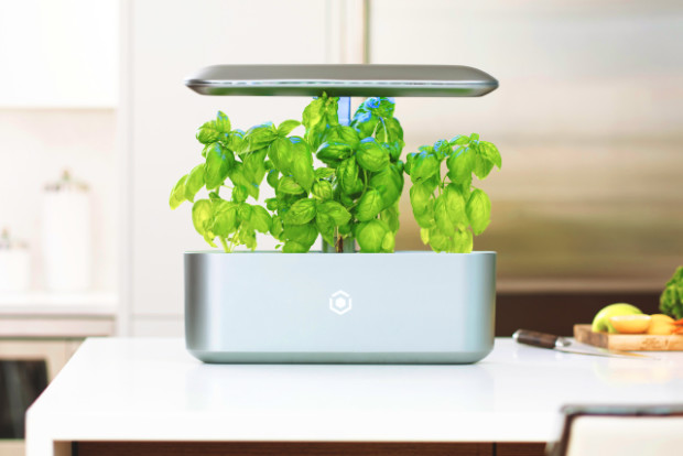 AVA Byte: Be your own smart farmer at home