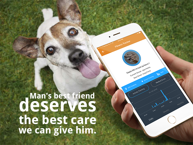 Connected pet startup BarbelBark raises $2.8 million to connect you to your dog and the people you trust