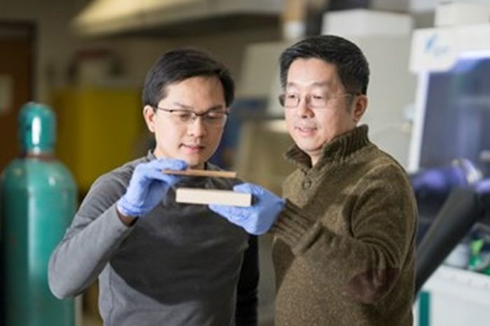 Researchers create ‘Super Wood’ that is stronger and lighter than steel and strong enough to stop a bullet