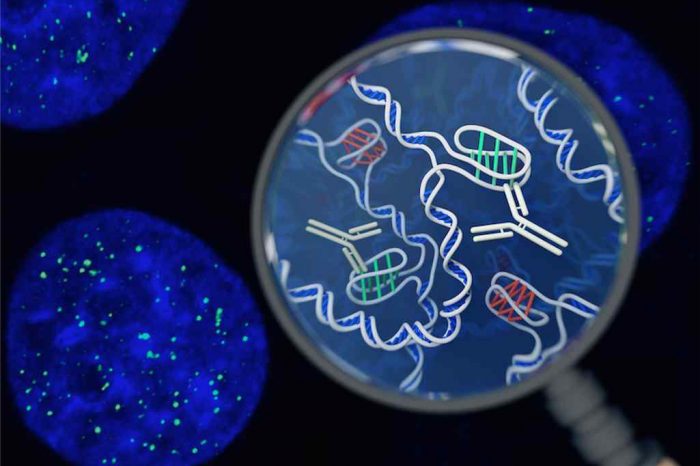 For the First Time Scientists Discovered New Form of DNA Structure Living Inside Human Cells (New DNA Discovery)