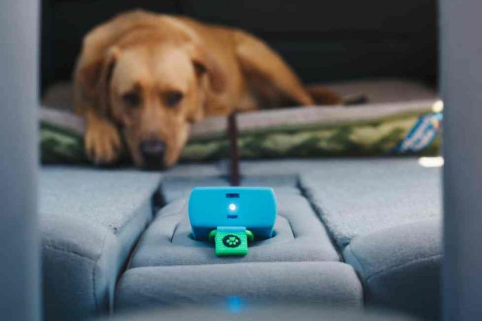 Too Hot for Toto? The PuppComm Monitor for Dogs Gives Owners Peace of Mind