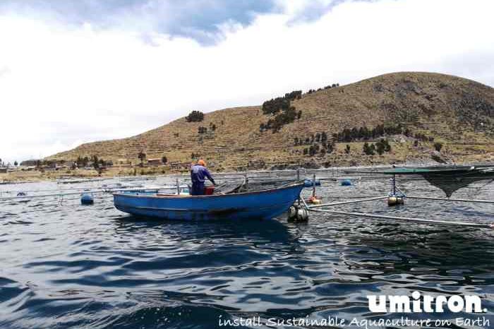 Singapore startup Umitron secures US$2 million in project funding to deliver IoT and AI technology to drive growth of sustainable aquaculture in Lake Titicaca, Peru