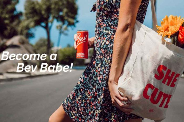 Female-founded beverage startup Bev receives $7 million to disrupt the male-dominated industry