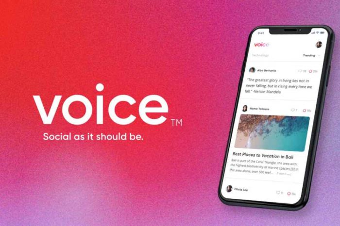 Block.one bought the domain name Voice.com for $30 million for its new blockchain-based social media platform Voice