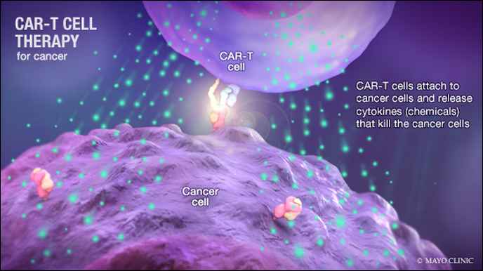 Cell Vault joins the fight against cancer, raises $1 million in funding for first-ever T-Cell cryopreservation bank