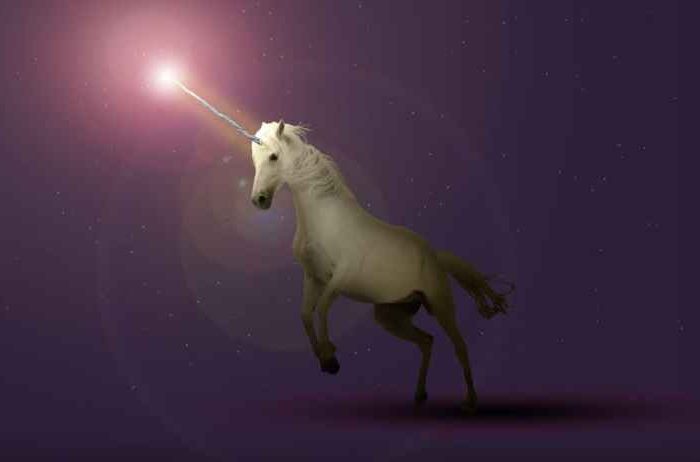 50 startups with most chances of becoming unicorns