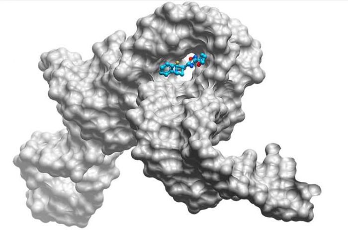 Biotech startup Ribometrix raises $7.8M funding to develop small molecule drugs that directly target RNA to treat human diseases