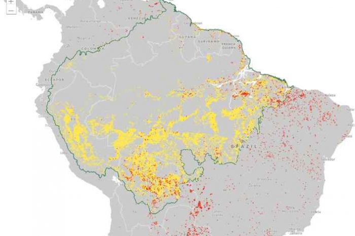 Logi Analytics and Conservation International Team Up to Launch Real-Time Dashboard of Amazon Rainforest Fires