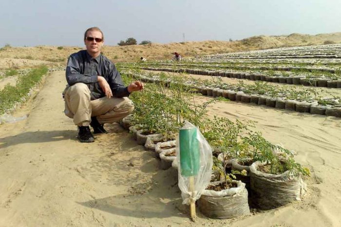 This startup is fighting climate change by turning desert into fertile soil