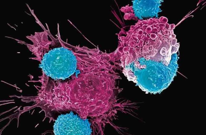 First Patient With Advanced Breast Cancer Receives First Dose in Clinical Trial of GlycoMimetics' GMI-1359