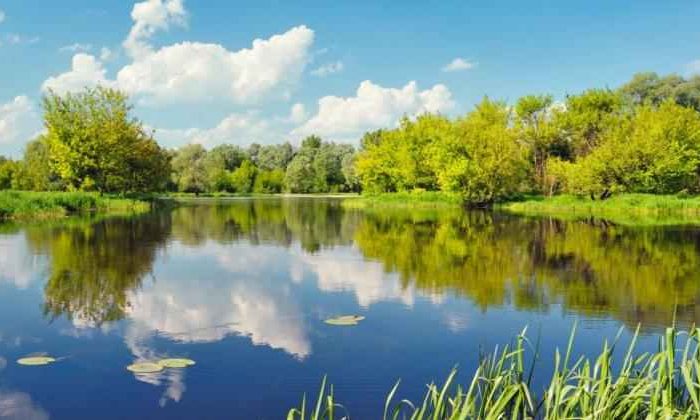 This Device can Clean oil off of the Surface of small lakes and Ponds