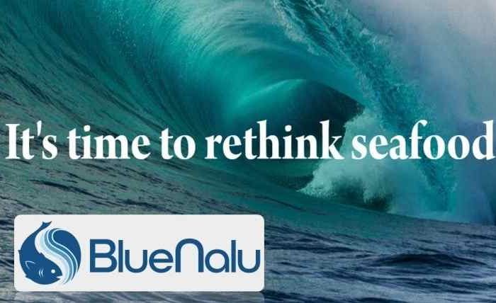 Food startup BlueNalu raises $20M Series A funding to produce seafood directly from fish cells