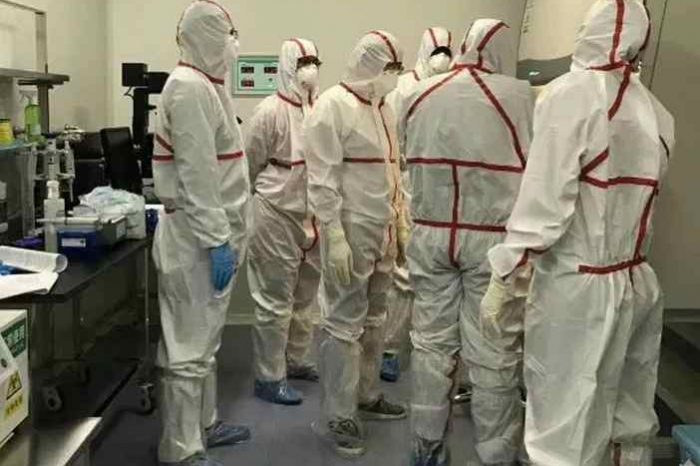 Coronavirus may have originated from China's Wuhan laboratory, study from Chinese researchers shows