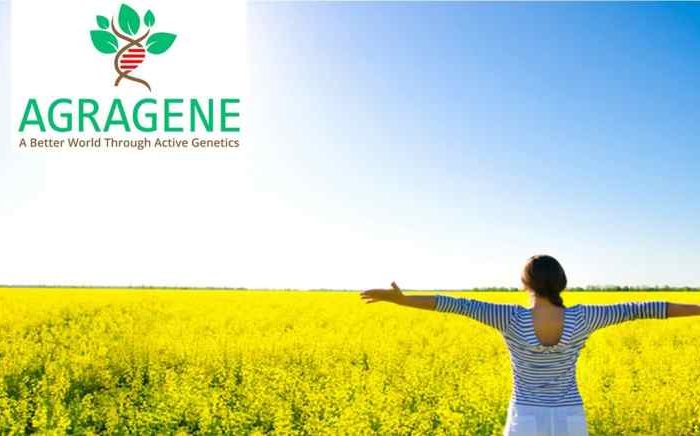 Sustainable agritech startup Agragene raises $1.2M seed funding for organic crop pest control using CRISPR-based genome engineering