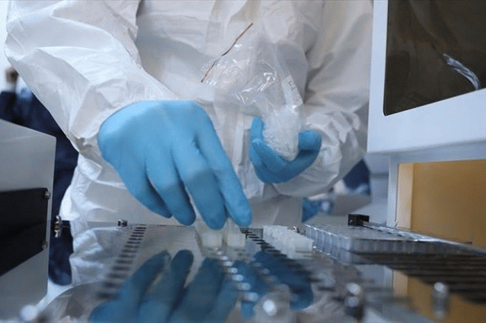 Media hostility to hydroxychloroquine fuels hysteria about supposed dangers: Misinformation may be preventing effective treatment to end coronavirus crisis, Israel's Arutz Sheva reports