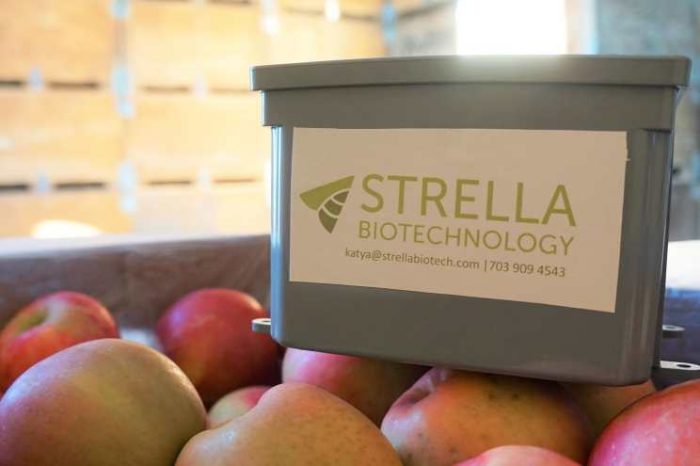 Food supply chain tech startup Strella Biotech raises $3.3M seed funding to take on the challenge of $1 trillion in global food waste