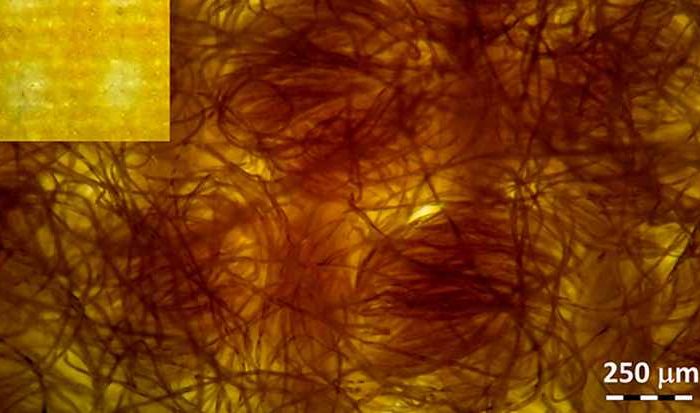 Face coverings made from layered cotton fabric likely slow the spread of COVID-19 better than synthetics, new study finds