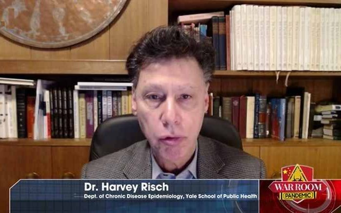 Early outpatient treatment with hydroxychloroquine is the most effective for treatment of COVID-19, Dr. Harvey Risch of Yale University says