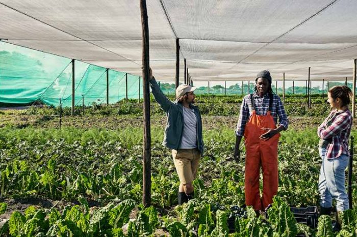 AgriTech startup Apeel secures $30M in funding to fight the $2.6 trillion-dollar global food waste and help smallholder farmers in emerging markets join the global food system