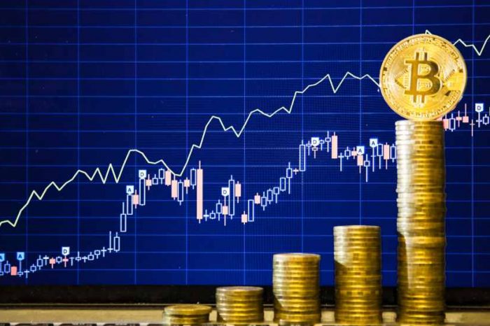 Crypto investors open to investing 50% of their savings into cryptocurrencies, a new survey shows