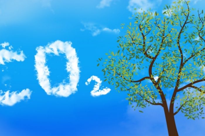 Is CO2 really a pollutant? Here is the history of how carbon dioxide became a 'pollutant'