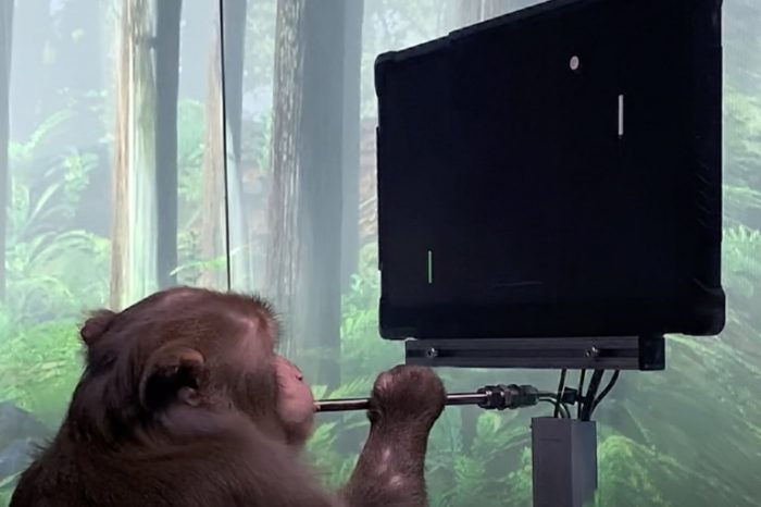 Elon Musk's Neuralink shares a video of a monkey playing a video game with his mind using a brain chip