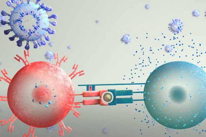 Does high viral load in vaccinated people have anything to do with ADE (Antibody-Dependent Enhancement) caused by waning immunity?