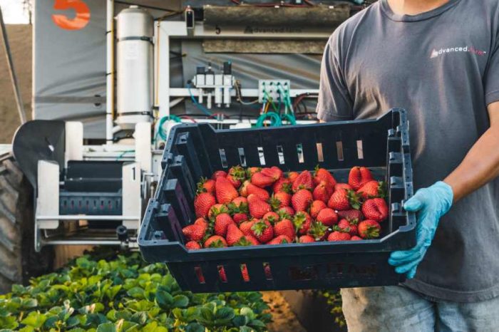 AgricTech startup Advanced Farm becomes the world’s first company to bring robotically picked strawberries to grocery stores; bags $25M in funding