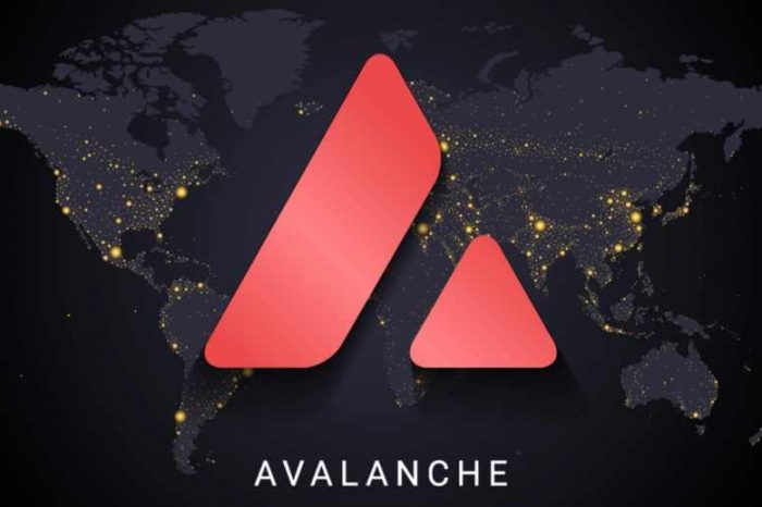 Avalanche, one of the youngest smart contracts-enabled cryptocurrencies, raises $230M in funding led by Polychain, others