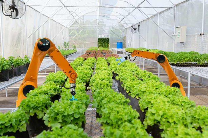 Bill Gates leads a $50 million investment in green tech farming robot startup Iron Ox to grow produce more sustainably