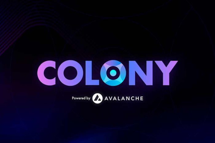 Colony lands $18.5M in funding to power next-generation applications in the Avalanche ecosystem