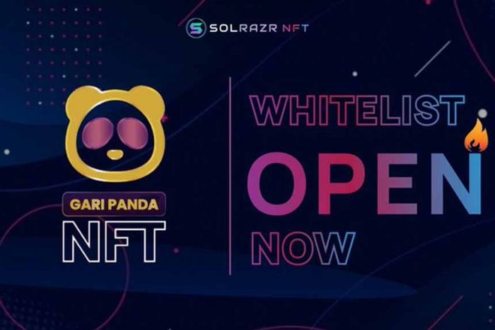 Video-sharing app Chingari launches new NFT collection whitelist on SolRazr