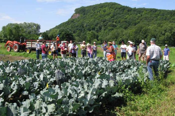 Northeast SARE announces $5.8 million in funding for sustainable agriculture research and education