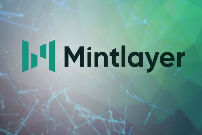 Mintlayer launches a $4M open-source development grant, opens applications