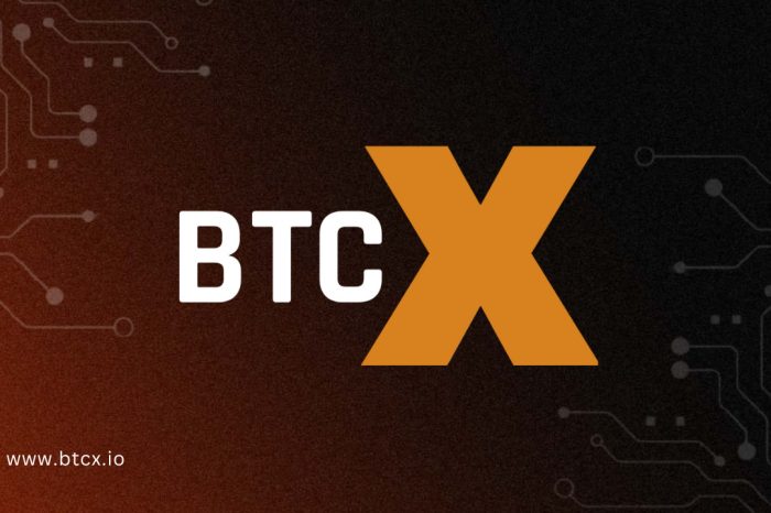 Ethereum-Based BTCX Token Raises $1.5M to Build the World’s First Bitcoin Xin Blockchain