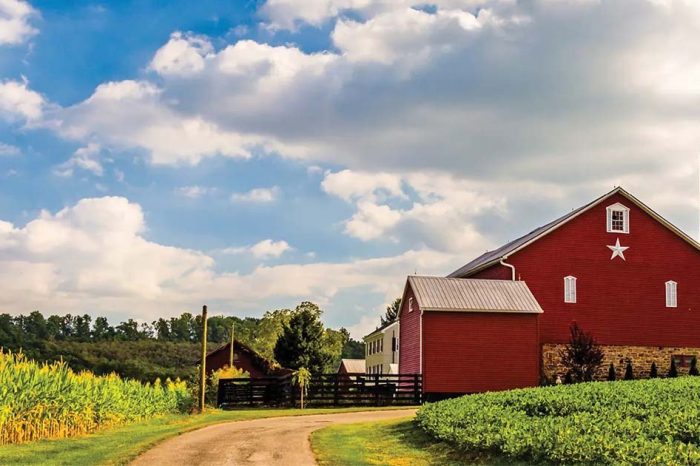 A mystery company backed by tech billionaires is reportedly "forcing farmers to sell" their lands to build a new city for the Silicon Valley elites