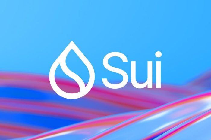 Sui Joins DeFi Leaders, Topping $100M in Bridged USDC