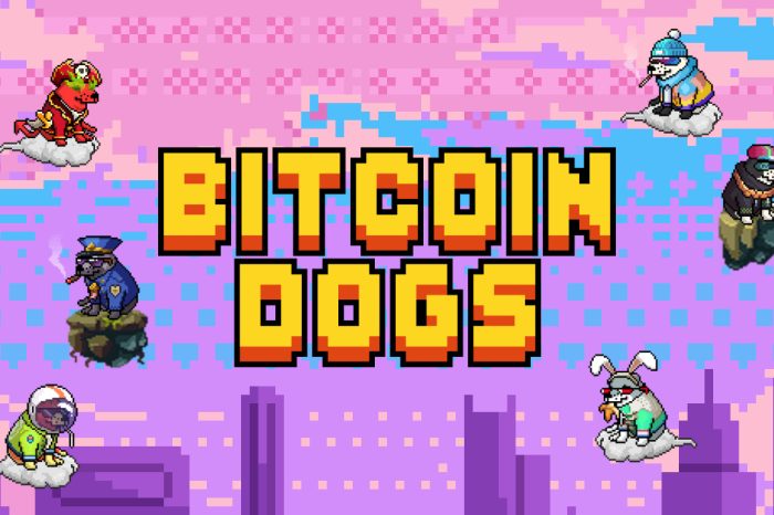 World's First ICO on Bitcoin Blockchain Nears Final 48 Hours