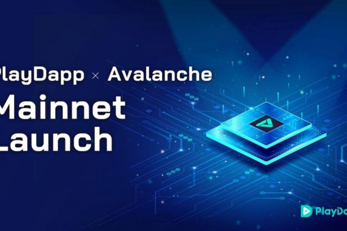 PlayDapp Announces Mainnet Launch: User-Friendly Blockchain for Ecosystem