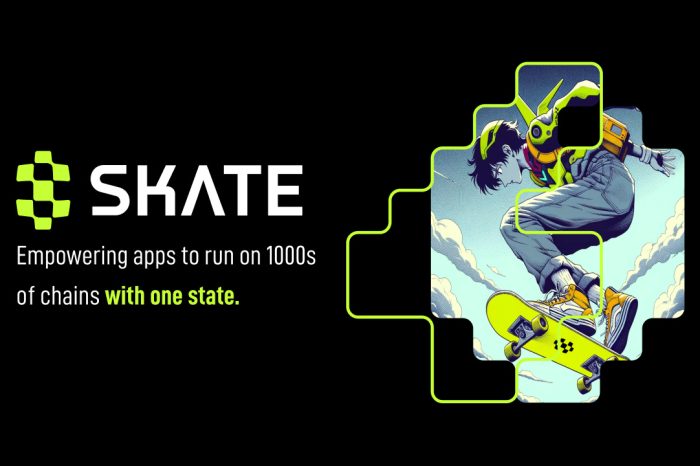 Unified Liquidity Platform Range Protocol Unveils Skate: The First Universal Application Layer Powering Apps to Run on All Chains With One State