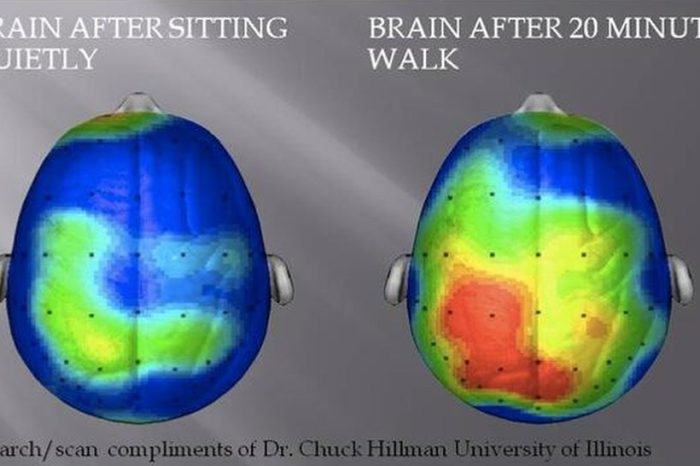 Your brain after sitting down for 20 minutes vs walking for 20 minutes, research findings will shock you