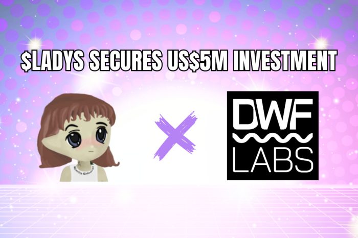 Milady Meme Coin Secures US$5 Million Investment from DWF Labs