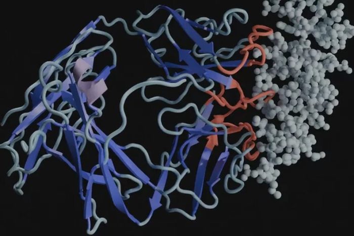 EvolutionaryScale, an AI for biology startup, raises $142M in funding to revolutionize drug discovery and life sciences