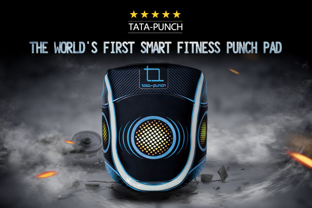 TATA-PUNCH: Interactive fitness with a punch