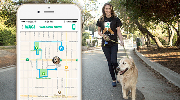 SoftBank sells its stake in dog-walking app Wag Labs as startup lays off staff