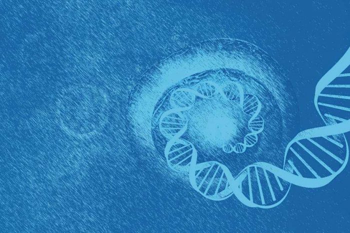 The global single-cell genome sequencing market size is expected to reach USD 2.49 billion by 2025
