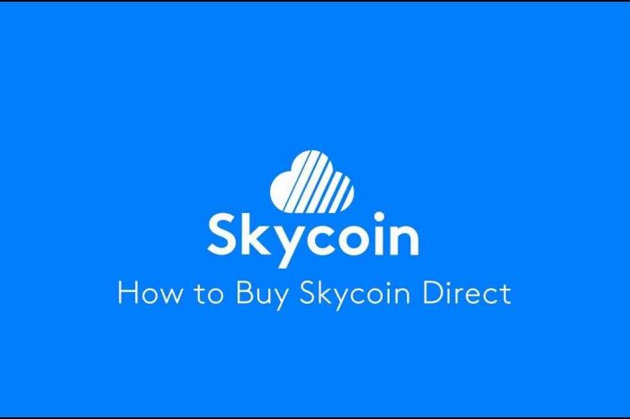 Skycoin Update: Market Price Shift Resulting from Embezzlement and Robbery