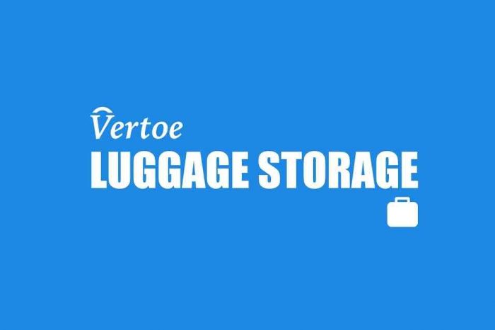 New York startup Vertoe raises $1.85 million to grow its on-demand short-term storage for travelers
