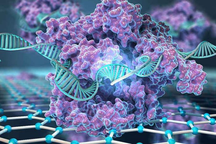 Researcher combines the power of  CRISPR's nucleic acid targeting with graphene chip to digitally detect DNA without amplification