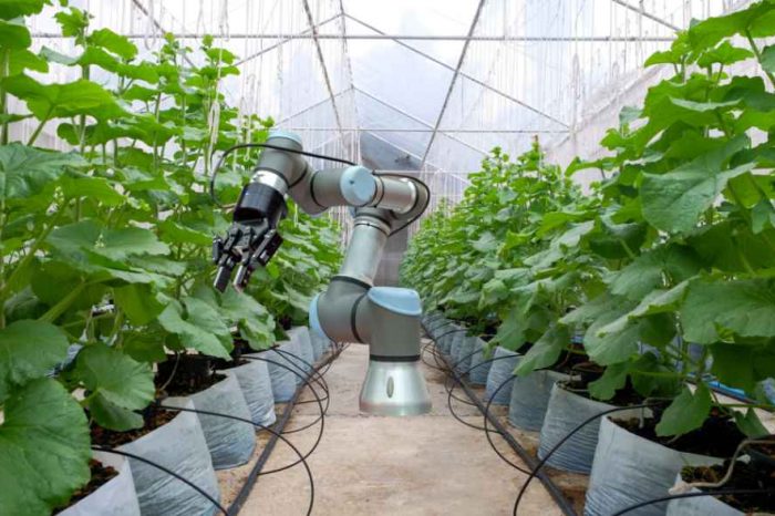 China's AgriFood Startups Raise $5.8 billion in 2018 as Ecosystem Rapidly Matures